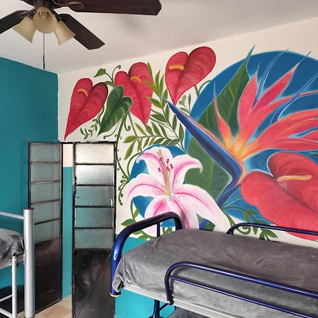 Lidia Anturios Hostal Oaxaca Exterior photo